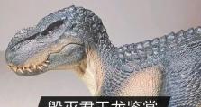 王者之路（掌握技能加点技巧，成就毁灭君王的威名）
