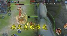 元芳打野技能加点攻略（掌握元芳打野技能加点，成为无敌打野大神）