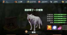 濡沫江湖宠物技能攻略（江湖宠物的技能秘籍大揭秘！）