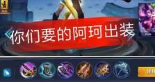 阿珂进阶攻略（深入了解阿珂，提升技巧实力，合理搭配出装）