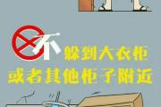 如何掌握地震逃生技能（地震逃生技能攻略，助你应对灾难）