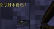 我的世界怎么全部自杀,一键实现集体毁灭