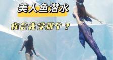 潜水技能攻略（从入门到高级，掌握潜水技能的关键要点）