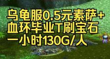 元素萨排骨最新出装攻略（元素萨排骨如何选择合适的出装方案）