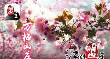 繁花吹雪出装攻略——樱花下的华服盛宴（一站式指南教你如何打造最完美的繁花吹雪造型）