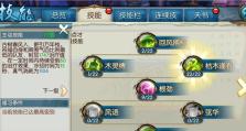 彩虹岛打拳技能加点攻略（彩虹岛拳手如何优化技能加点分配）