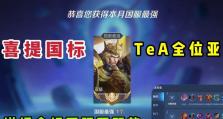 《亚瑟吟游之诗出装攻略》（精准释放技能，成就无敌之王！）