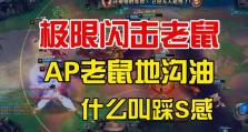 《赏金术士英雄出装铭文攻略》（掌握赏金术士的最佳装备和铭文选择，成就无敌刺客！）