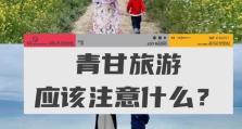 《探寻西宁的游戏世界》（用游戏攻略畅游西宁，带你领略不一样的风情）