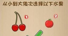 《最囧大脑》第22关通关攻略（紧张刺激的医疗救援游戏，必备攻略！）
