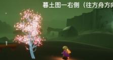 《光遇》2.23每日任务攻略2022（如何有效完成《光遇》2.23每日任务）