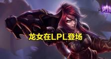 山鸡龙女天赋出装攻略（天赋、出装、操作，助你成为王者！）